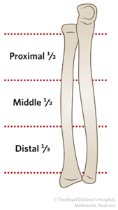 ED_Section 2_Shaft_Radius_Thirds.JPG